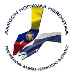 AMIGON HOITAVAA HIERONTAA